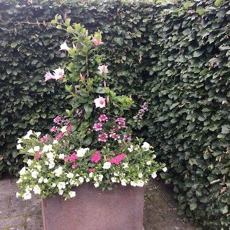 B&B De Veluwe Hoeve Eerbeek Bagian luar foto